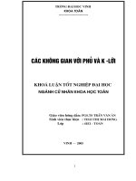 Các không gian với phủ và k   lưới 