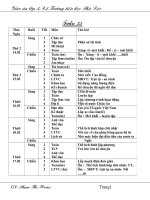 Bài soạn Lop 5 tuan 23