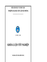 Hoàn thiện công tác lập và phân tích bảng cân đối kế toán tại công ty trách nhiệm hữu hạn thương mại đông á 
