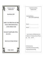 Nghiên cứu quá trình lên men axit xitric từ bả dứa trên môi trường bán rắn sử dụng aspergillus niger 