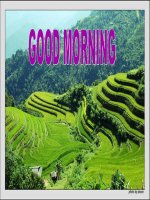 Bài soạn E7 Period 50 revision