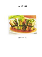 Tài liệu Bò Bó Củi pdf