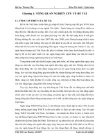 299 cho vay tiêu dùng tại ngân hàng TMCP đông nam á   chi nhánh ba đình 