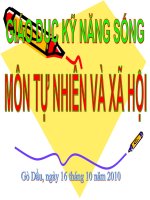 Bài giảng TAI LIÊU TÂP HUAN GDKNS MON TNXH