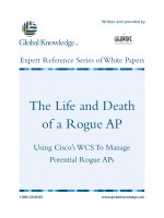 Tài liệu White Paper_Rogue AP2 pdf
