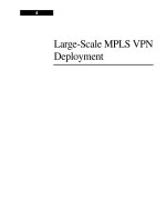 Tài liệu Large-Scale MPLS VPN Deployment pdf
