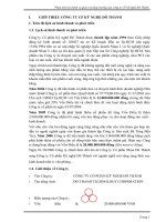 Phân tích tài chính và quản trị tăng trưởng của công ty CP kỹ nghệ đô thành 