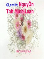 Tài liệu huong dan doc them : con co 111