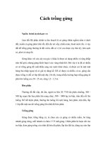 Tài liệu Cách trồng gừng pptx