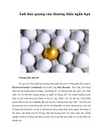 Tài liệu Ánh hào quang của thương hiệu ngắn hạn pptx