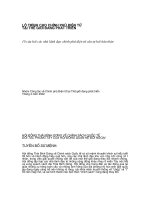 Lộ trình cho chính phủ điện tử  tại Thế giới đang phát triển