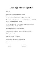 Tài liệu Giao nộp báo cáo địa chất ppt