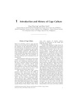 Tài liệu Introduction and history of cage culture ppt