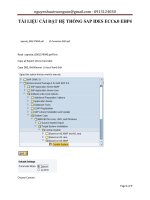 Tài liệu Tài liệu cài đặt hệ thống Sap ides ecc6.0 ehp4 pptx