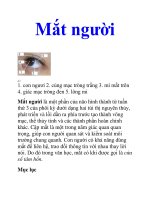 Tài liệu Mắt người doc