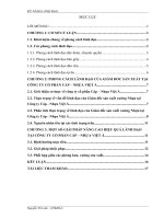 Một số giải pháp nâng cao hiệu quả lãnh đạo tại công ty cáp   nhựa việt á 