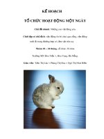 Tài liệu KẾ HOẠCH TỔ CHỨC HOẠT ĐỘNG MỘT NGÀY - Chủ đề nhánh: Những con vật đáng yêu ppt