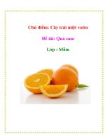 Tài liệu Chủ điểm: Cây trái miệt vườn - Đề tài: Quả cam - Lớp : Mầm ppt