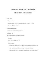 Tài liệu Gíao án toán lớp 1 - MƯỜI SÁU - MƯỜI BẢY MƯỜI TÁM - MƯỜI CHÍN docx