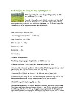 Tài liệu Cách trồng lạc-đậu phộng thu đông đạt năng suất cao pptx