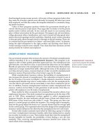 Tài liệu Ten Principles of Economics - Part 58 doc