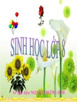 Tài liệu Bài 17 , tiết 17 : Tim và mạch máu (chi tiết)