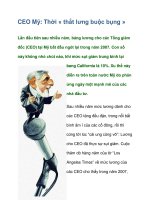 Tài liệu CEO Mỹ: Thời « thắt lưng buộc bụng » pdf