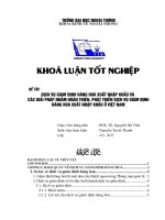 Dịch vụ giám định hàng hoá xuất nhập khẩu và các giải pháp nhằm hoàn thiện, phát triển dịch vụ giám định hàng hoá xuất nhập khẩu ở việt nam 