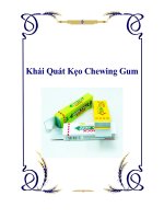 Tài liệu Khái quát kẹo chewing gum pdf