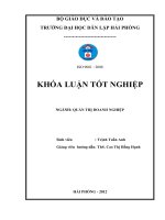 Một số biện pháp nâng cao hiệu quả hoạt động sản xuất kinh doanh tại công ty TNHH việt á 