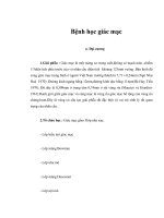 Tài liệu Bài giảng Bệnh học giác mạc ppt