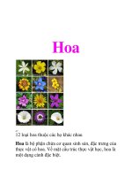 Tài liệu tự nhiên,sinh học,nhụy hoa,nhị hoa,Bao hoa ppt