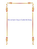 Tài liệu Báo cáo bạch: Công ty Cổ phần Hải Dương docx