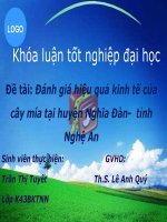 Slide đánh giá hiệu quả kinh tế của cây mía tại huyện nghĩa đàn   tỉnh nghệ an 
