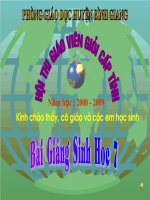 Bài giảng Hội giảng cấp tỉnh hay
