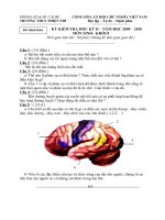 Bài giảng Đề KT HKII( 09- 10 )