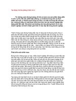 Tài liệu Tạo dựng văn hóa phòng tránh rủi ro pptx