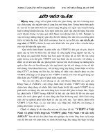 VTĐPT ở việt nam và phát triển hợp tác VTĐPT giữa việt nam với các nước ASEAN 