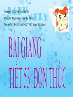 Tài liệu Tiết 53 Đơn thức ( bài này quá tuyệt)