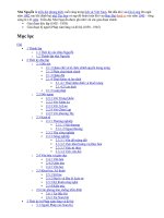 Gián án Lịch sử việt nam thời nhà Nguyễn