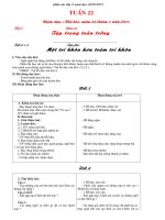 Tài liệu Giáo án lớp 2 ckt tuần 22 (quý sâm)