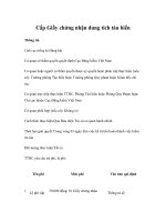 Tài liệu Cấp Giấy chứng nhận dung tích tàu biển pdf