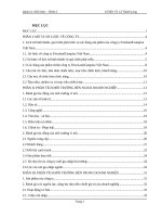 PHÂN TÍCH và xây DỰNG CHIẾN lược KINH DOANH CÔNG TY frieslandcampina 