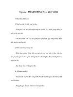 Tài liệu Tập đọc - HÀNH TRÌNH CỦA BẦY ONG pdf