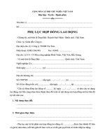 Tài liệu Phụ lục hợp đồng lao động pptx