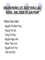 Tài liệu NGUỒN NHÂN LỰC XUẤT KHẨU LAO ĐỘNG pdf