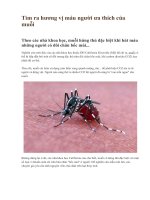 Tìm ra hương vị máu người ưa thích của muỗi