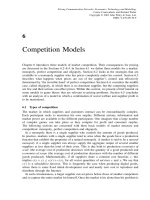 Tài liệu Pricing communication networks P6 pptx