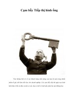 Tài liệu Cạm bẫy Tiếp thị hình ống pdf