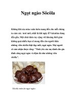 Tài liệu Ngọt ngào Sôcôla ppt